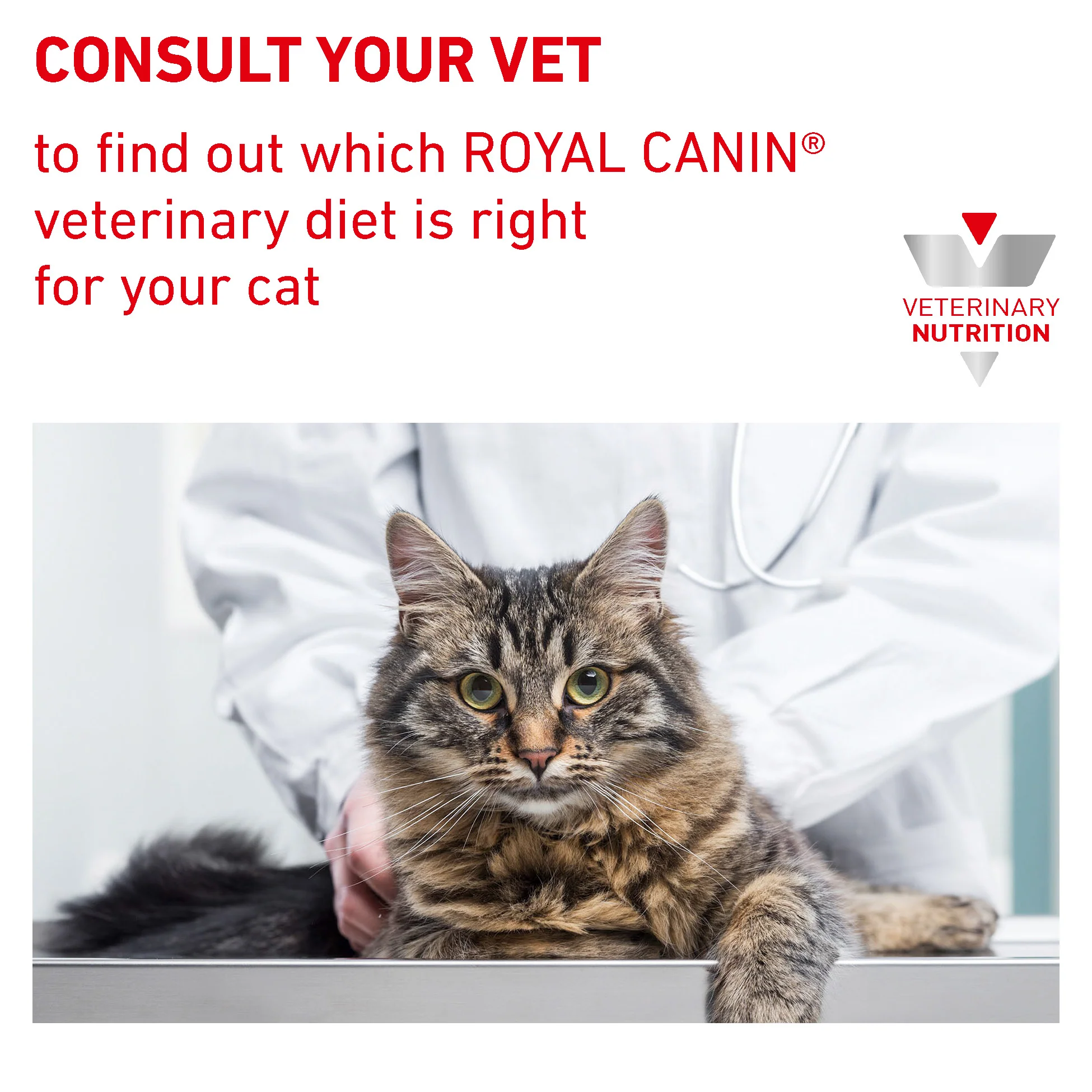 Royal Canin Hepatic Adult Dry Cat Food - Image 8