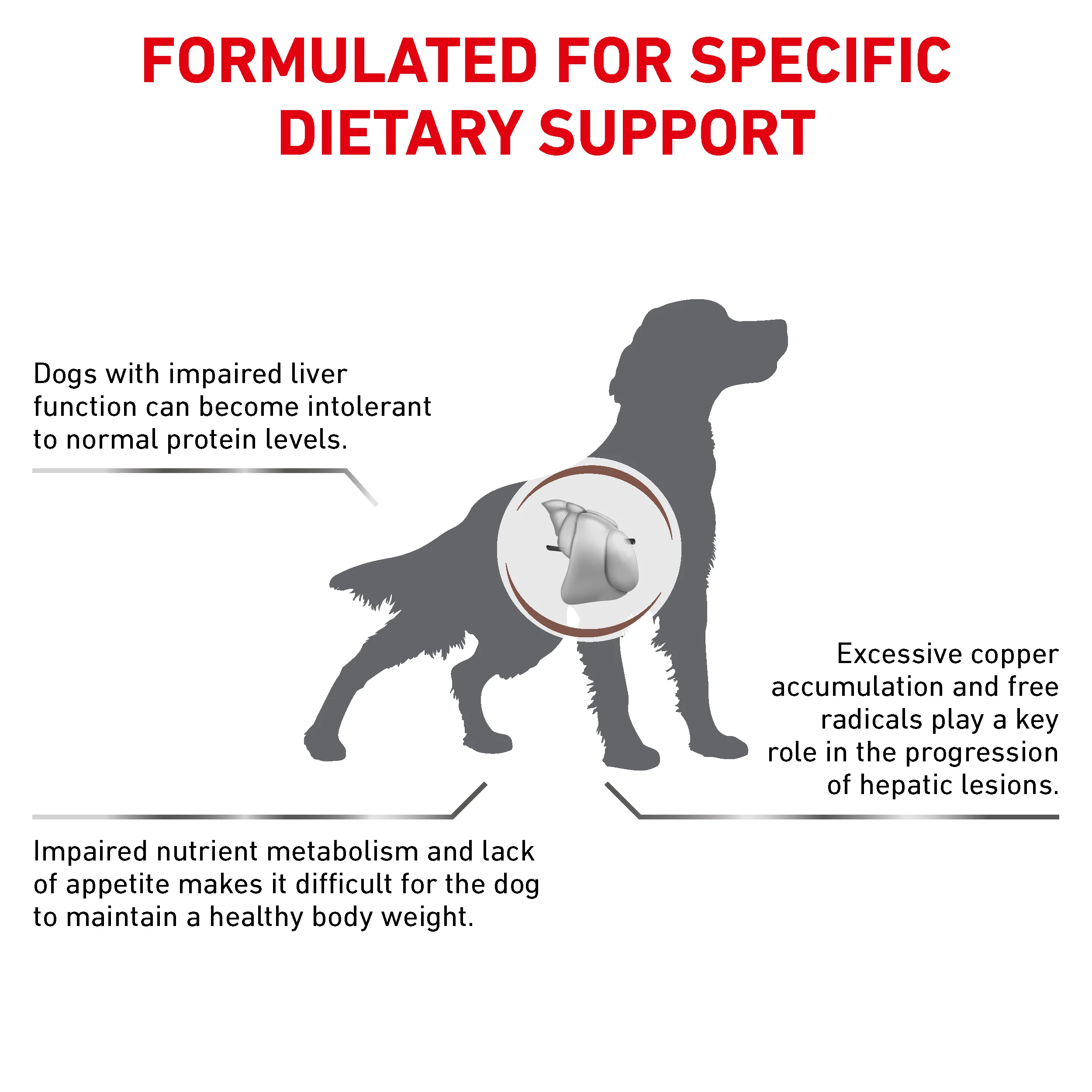 Royal Canin Hepatic Adult Dry Dog Food - Image 2