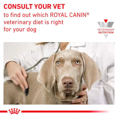 Royal Canin Hypoallergenic Adult Dry Dog Food - Image 4