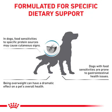 Royal Canin Hypoallergenic Moderate Calorie Adult Dry Dog Food - Image 2