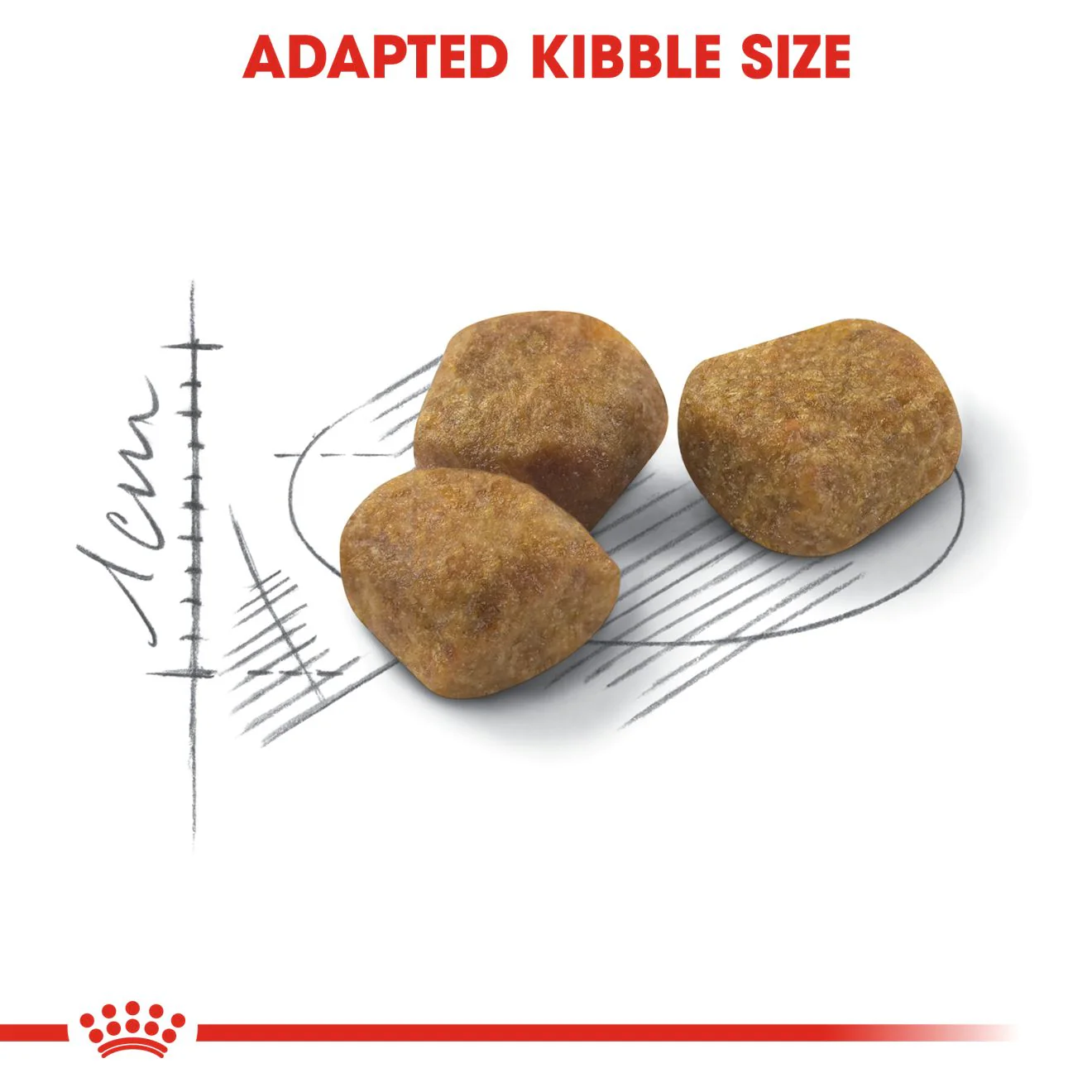 Royal Canin Indoor +7 Adult Dry Cat Food - Image 3