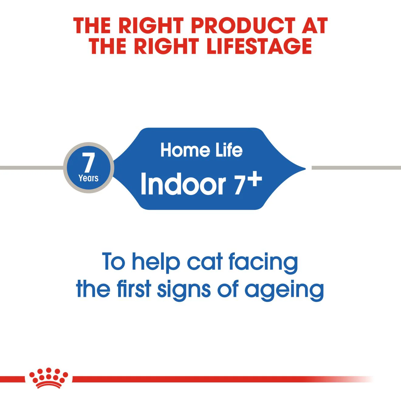 Royal Canin Indoor +7 Adult Dry Cat Food - Image 5