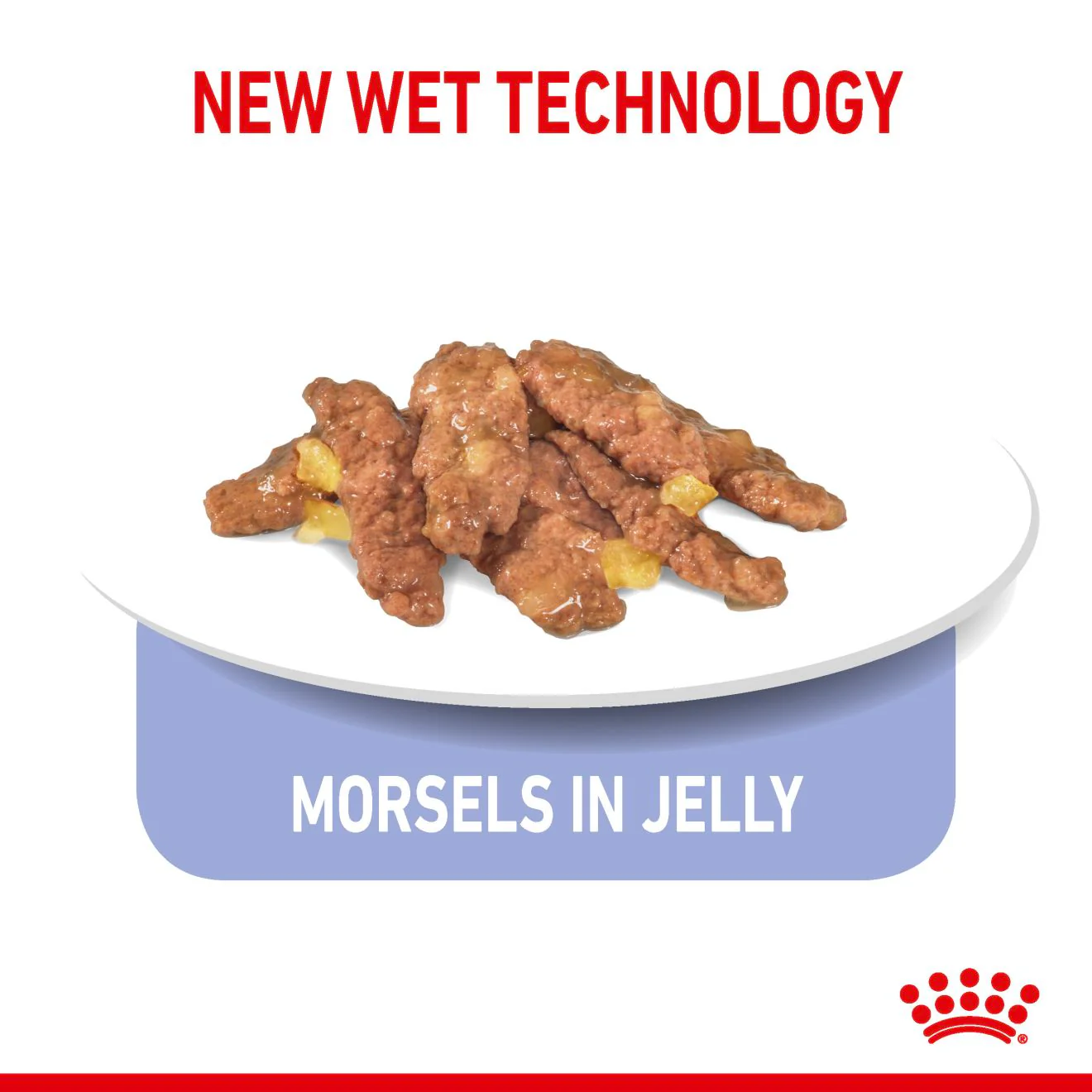 Royal Canin Indoor Adult Sterilised Cat Wet Food - Jelly - Image 5