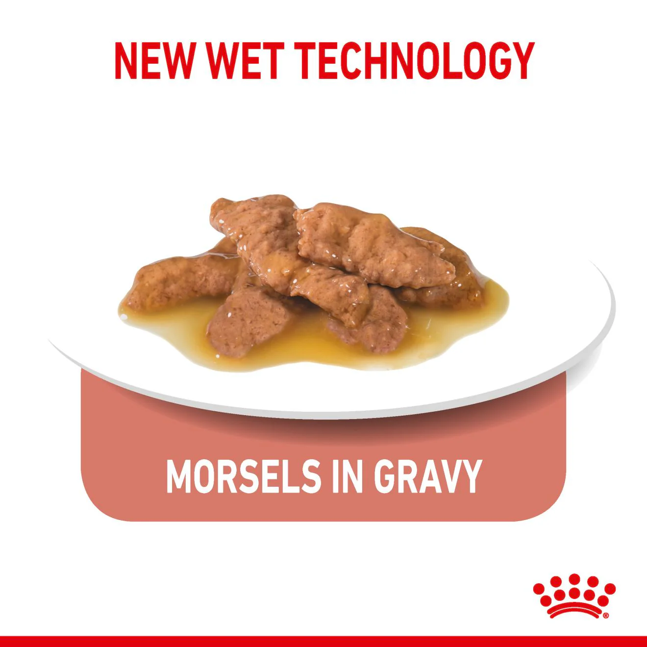 Royal Canin Indoor Adult Sterilized Wet Cat Food - Gravy - Image 5