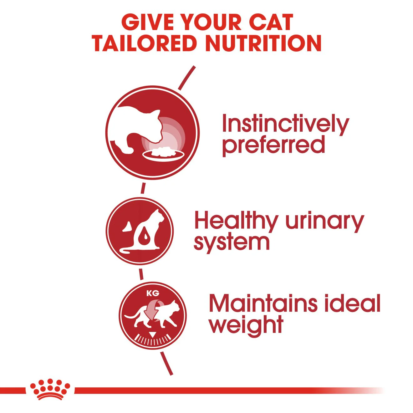 Royal Canin Instinctive Adult Wet Cat Food - Jelly - Image 3