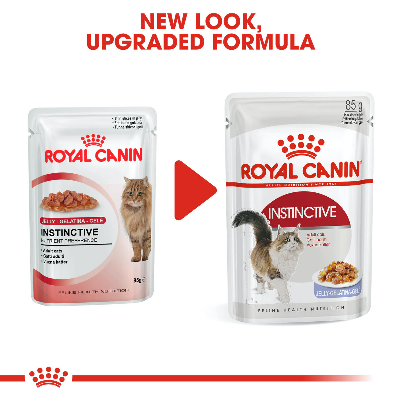 Royal Canin Instinctive Adult Wet Cat Food - Jelly - Image 7