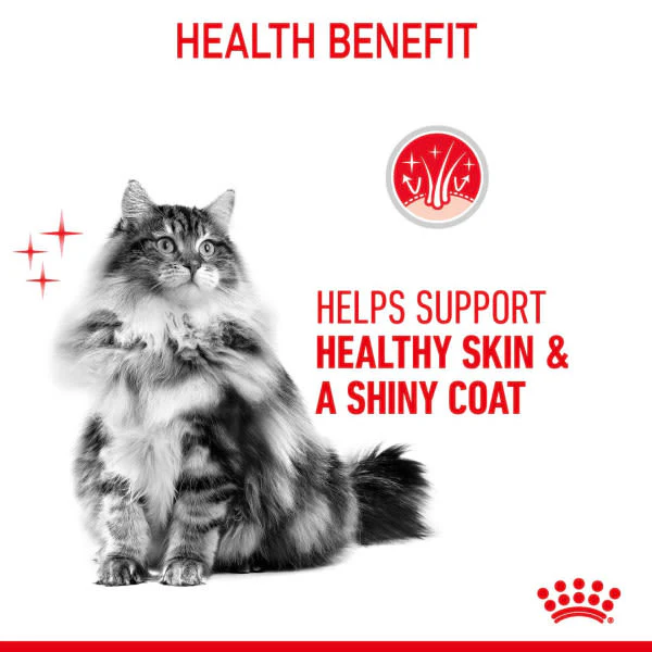 Royal Canin Intense Hair & Skin Adult Wet Cat Food - Image 4