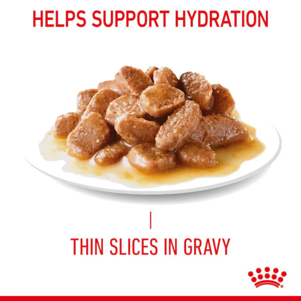 Royal Canin Intense Hairball 34 Adult Wet Cat Food - Gravy - Image 4