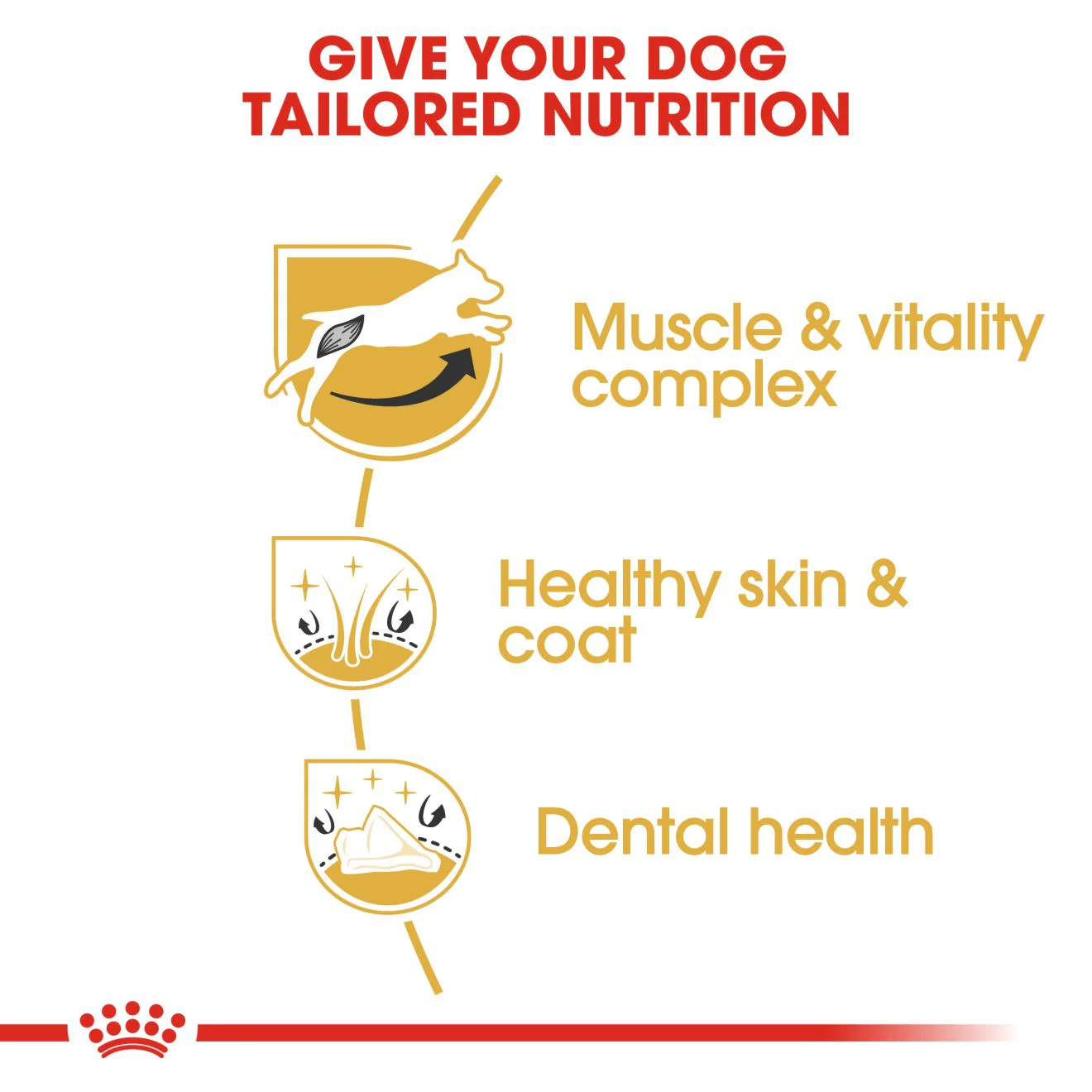 Royal Canin Jack Russell Adult Dry Dog Food - 1.5kg - Image 4