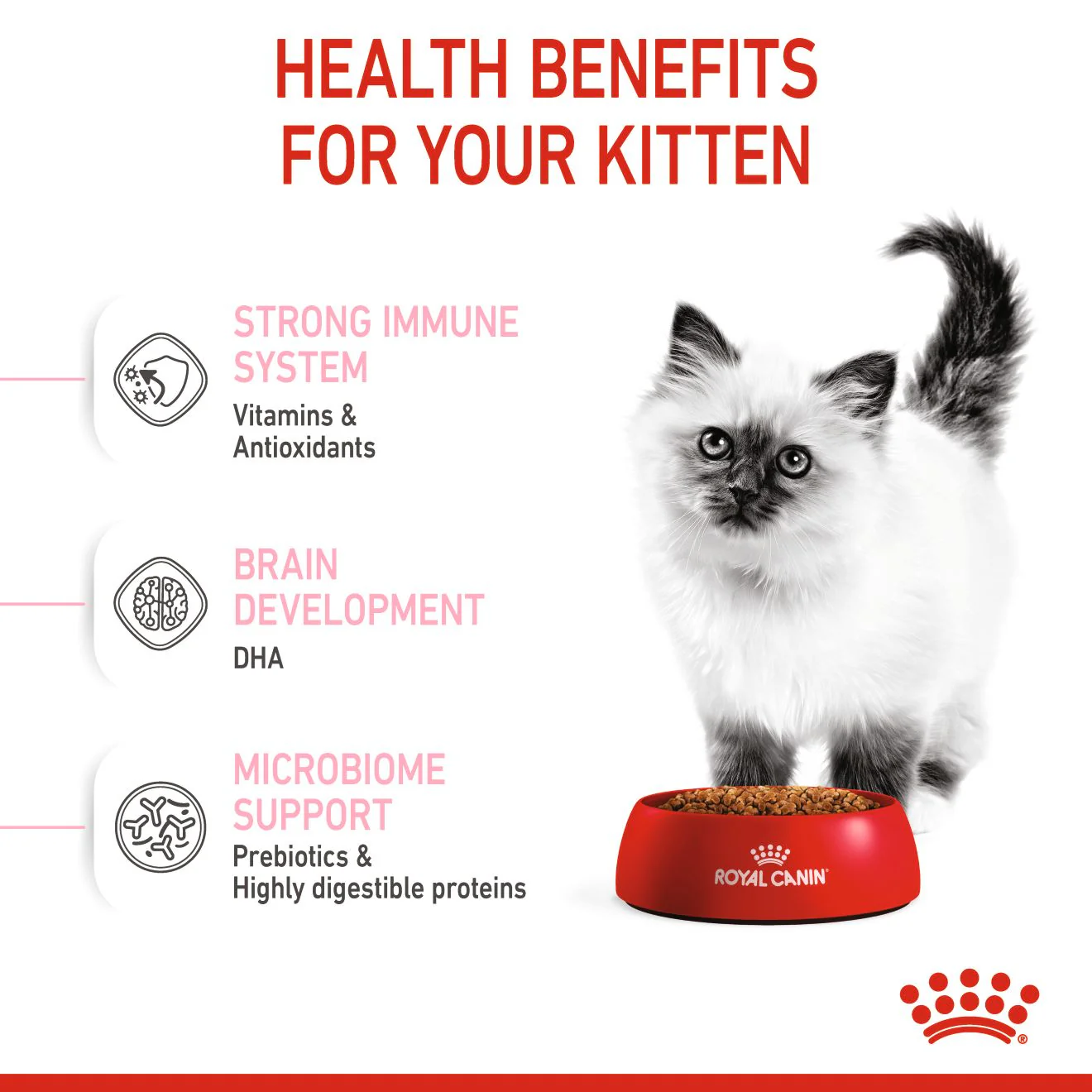 Royal Canin Kitten Dry Cat Food - Image 3
