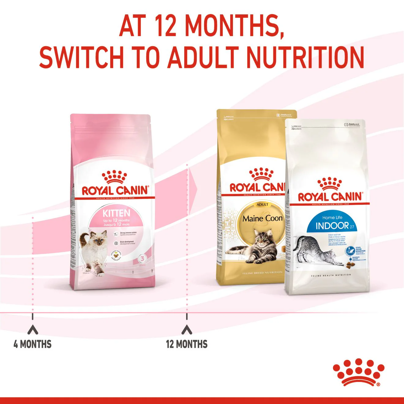 Royal Canin Kitten Dry Cat Food - Image 4