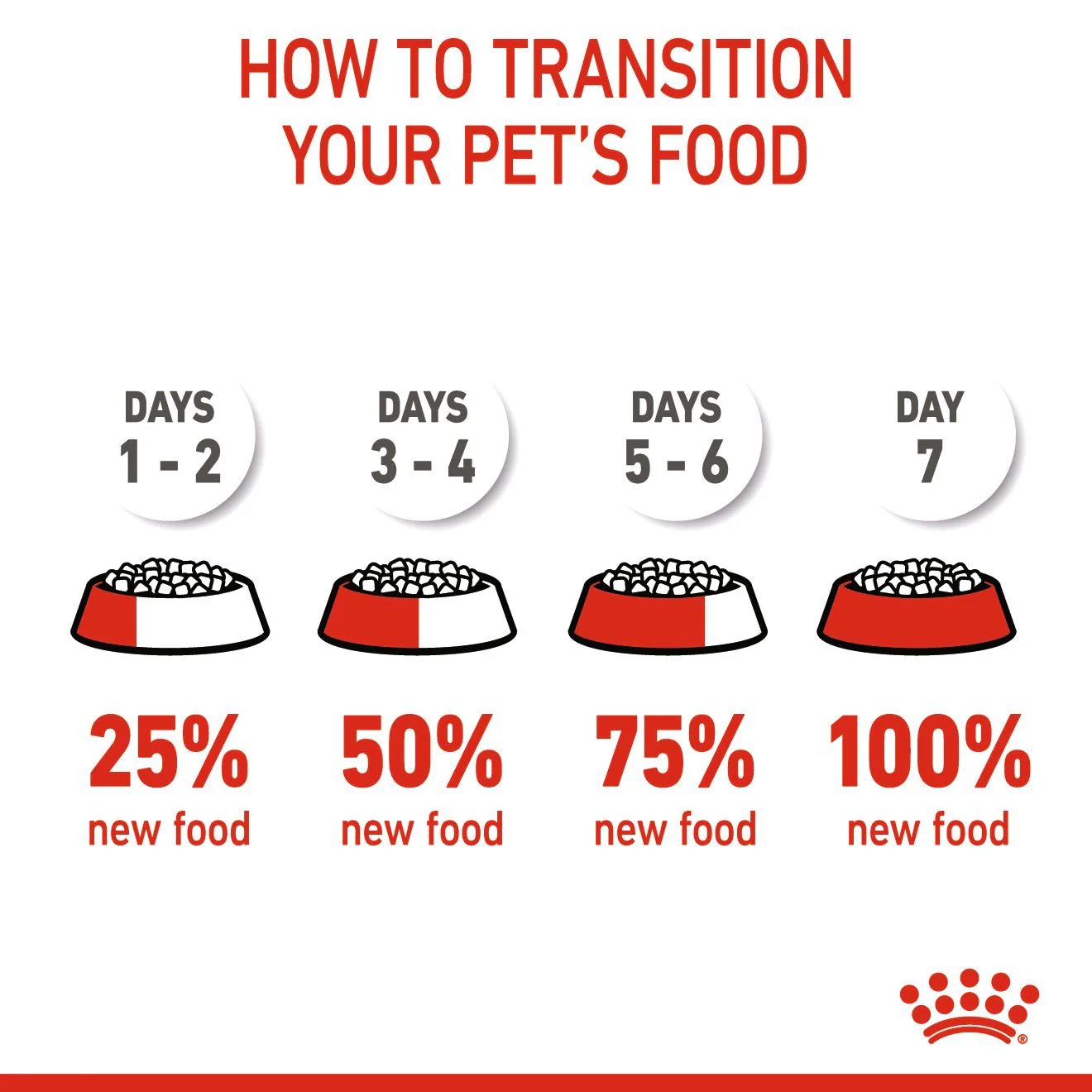 Royal Canin Kitten Dry Cat Food - Image 7
