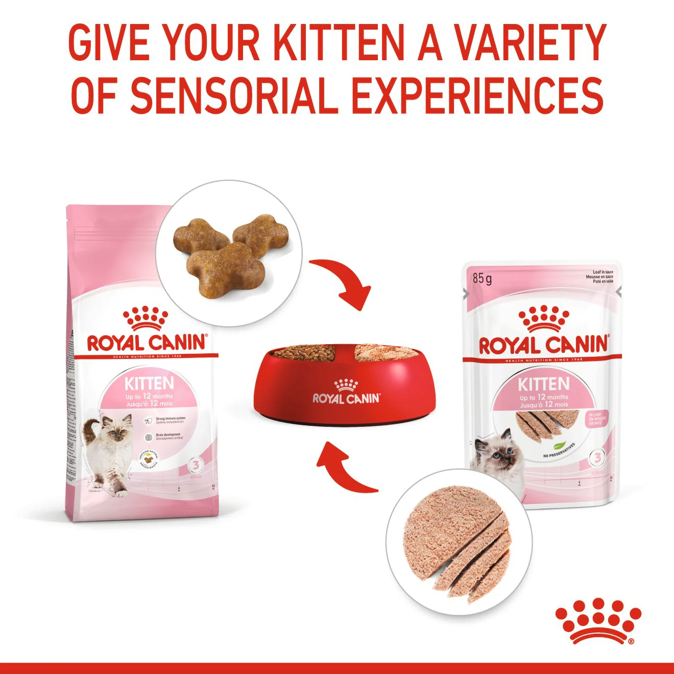 Royal Canin Kitten in Loaf Wet Cat Food - Image 5