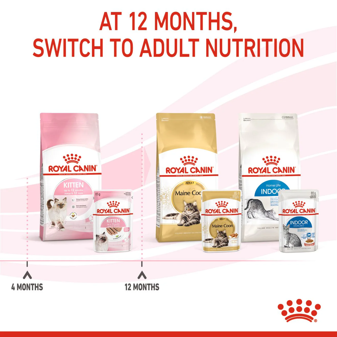 Royal Canin Kitten in Loaf Wet Cat Food - Image 8