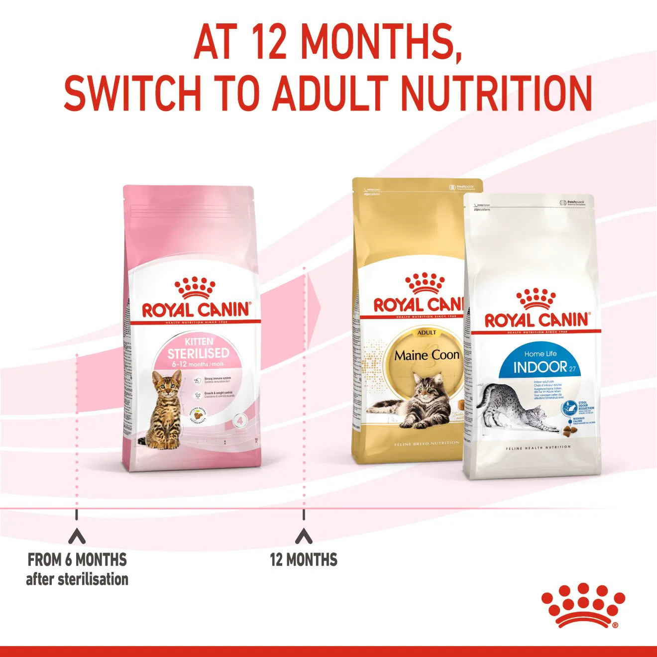 Royal Canin Kitten Sterilised Dry Cat Food - Image 3
