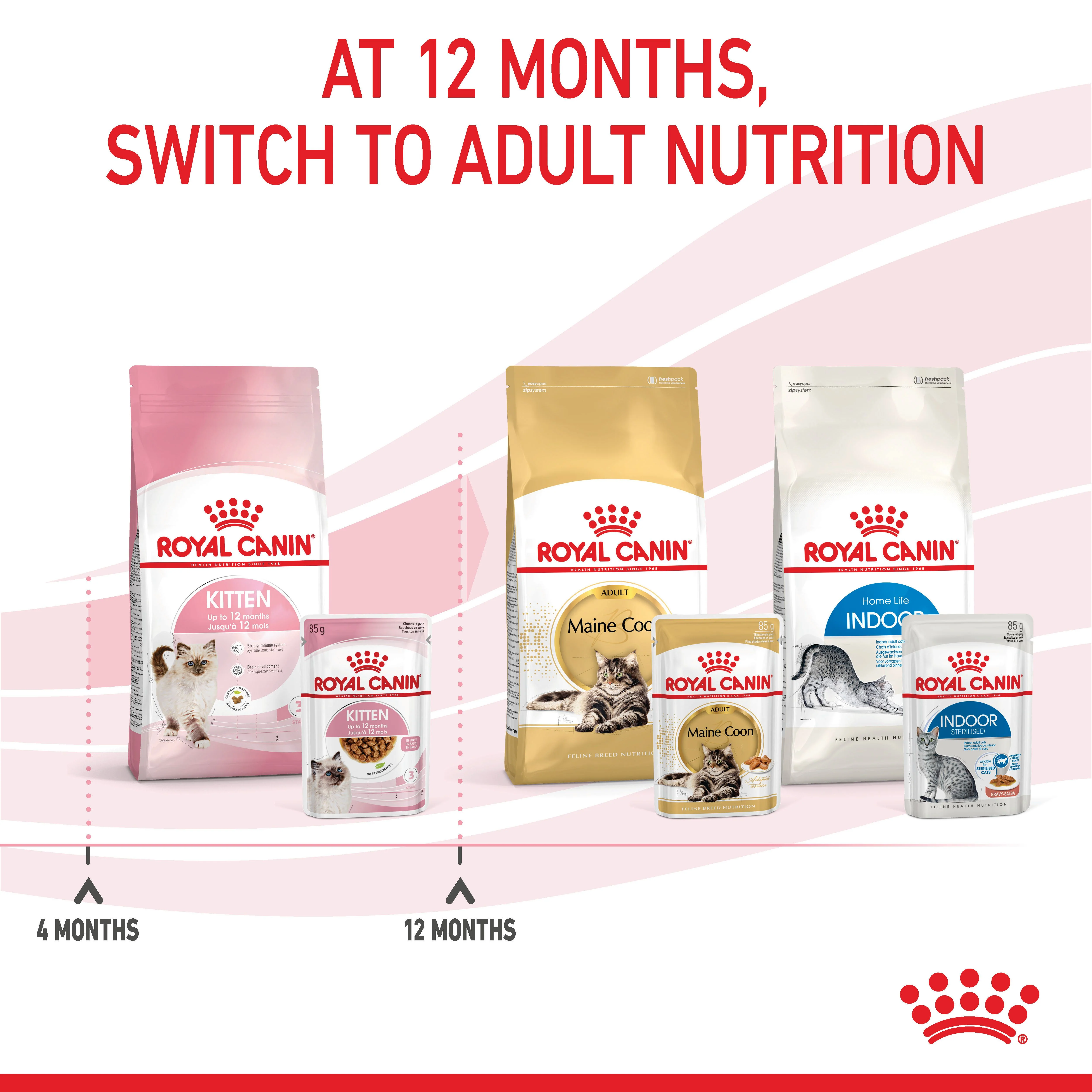 Royal Canin Kitten Wet Cat Food - Chunks in Gravy - Image 11
