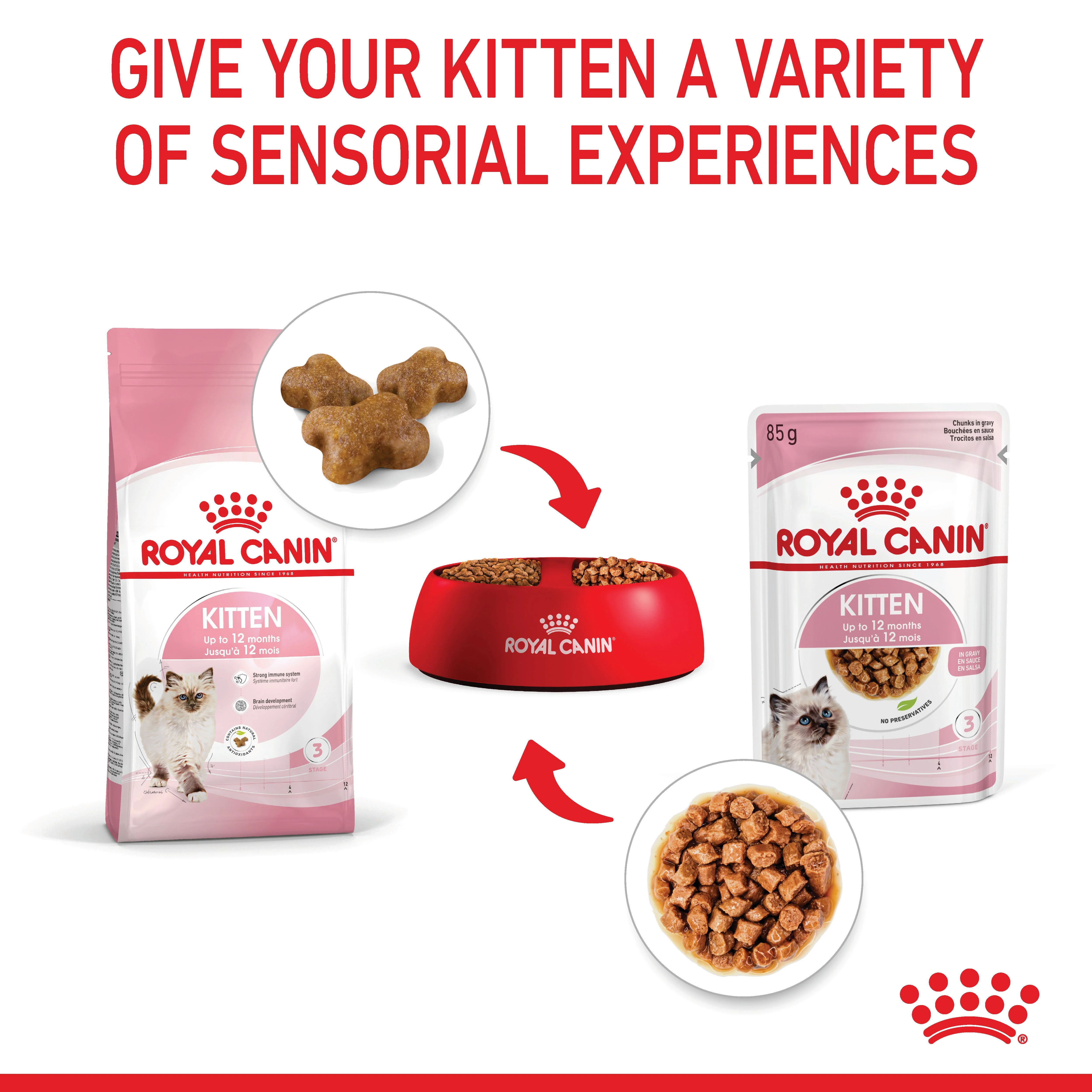 Royal Canin Kitten Wet Cat Food - Chunks in Gravy - Image 8
