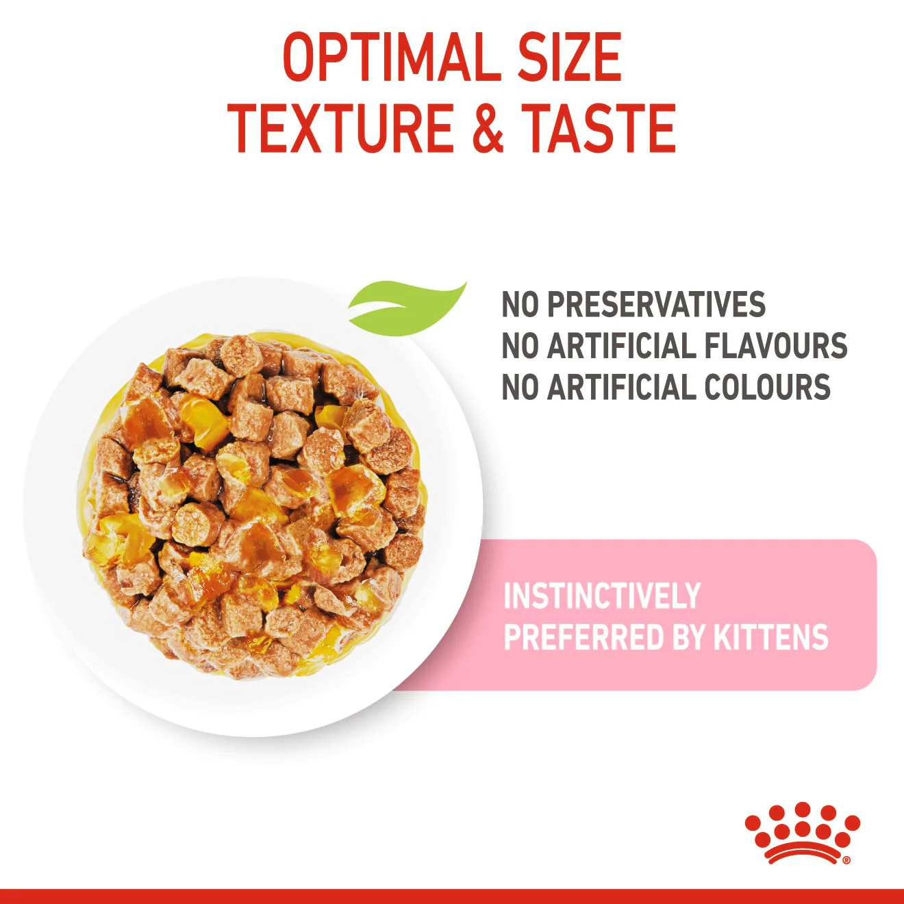 Royal Canin Kitten Wet Cat Food - Chunks in Jelly - Image 4