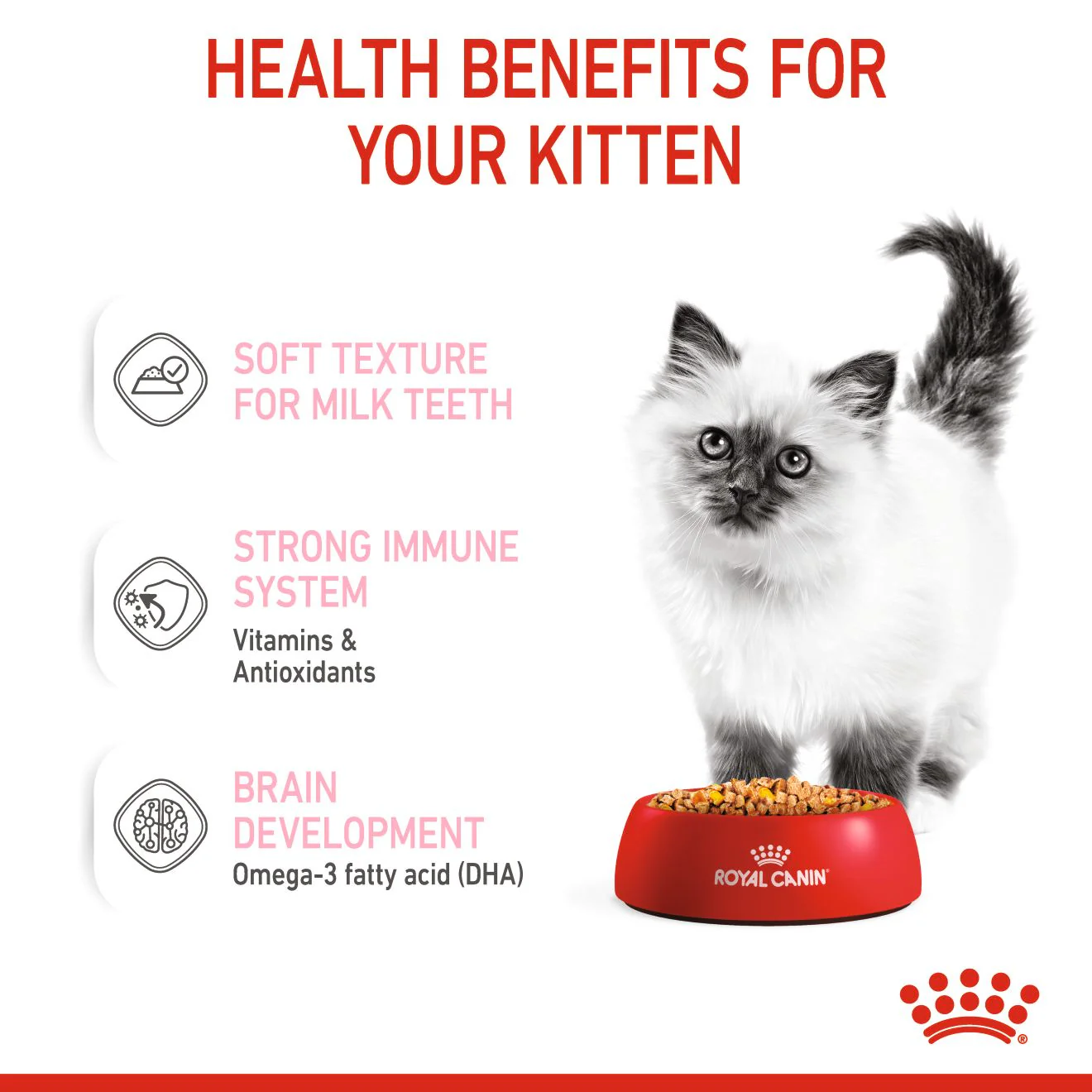 Royal Canin Kitten Wet Cat Food - Chunks in Jelly - Image 5