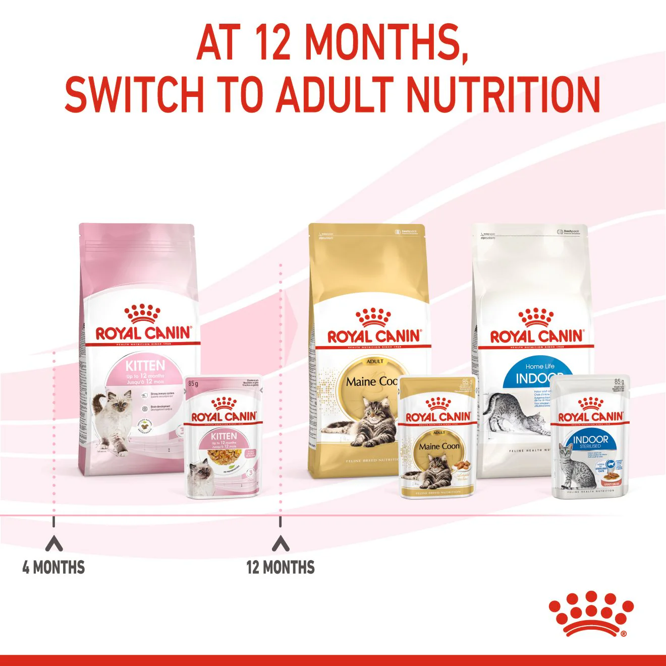 Royal Canin Kitten Wet Cat Food - Chunks in Jelly - Image 9