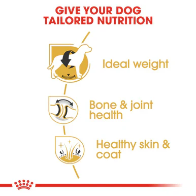 Royal Canin Labrador Retriever Adult Dry Dog Food - Image 5