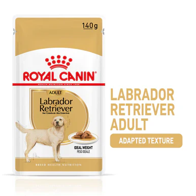 Royal Canin Labrador Retriever Adult Wet Dog Food - Loaf in Sauce - Image 2