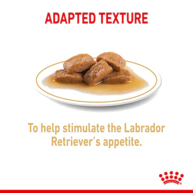 Royal Canin Labrador Retriever Adult Wet Dog Food - Loaf in Sauce - Image 4