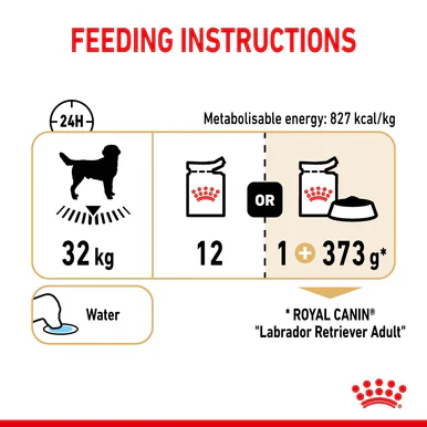 Royal Canin Labrador Retriever Adult Wet Dog Food - Loaf in Sauce - Image 5