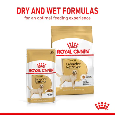 Royal Canin Labrador Retriever Adult Wet Dog Food - Loaf in Sauce - Image 7
