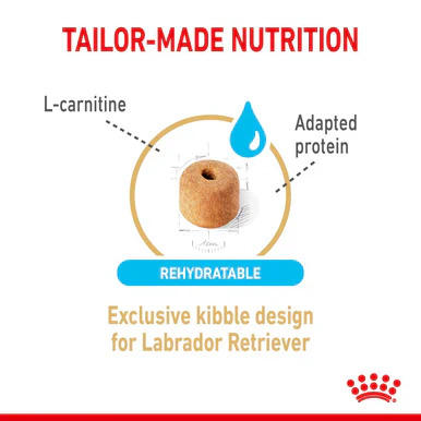 Royal Canin Labrador Retriever Ageing Adult 5+ Dry Dog Food - Image 3