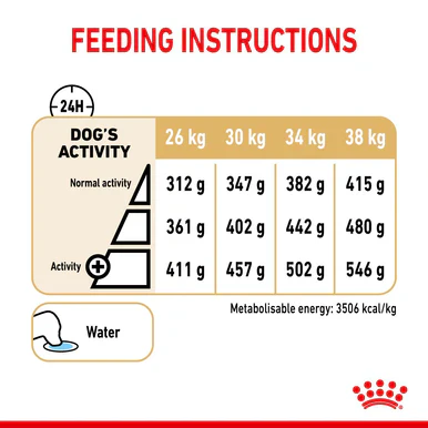 Royal Canin Labrador Retriever Ageing Adult 5+ Dry Dog Food - Image 5