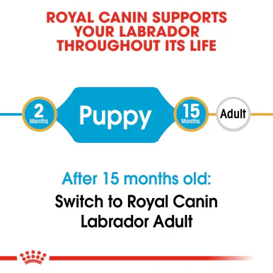 Royal Canin Labrador Retriever Large Puppy Dry Dog Food - Image 3