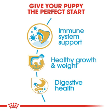 Royal Canin Labrador Retriever Large Puppy Dry Dog Food - Image 5