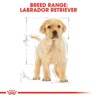 Royal Canin Labrador Retriever Large Puppy Dry Dog Food - Image 6