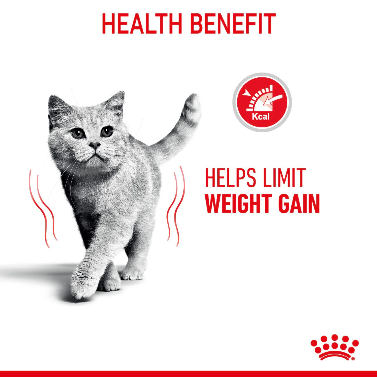 Royal Canin Light Weight Care Adult Thin Slices in Gravy Wet Cat Food - Image 5