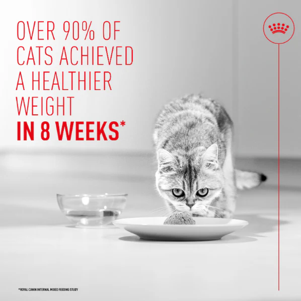 Royal Canin Light Weight Care Airlift Mousse Adult Wet Cat Food - Image 2