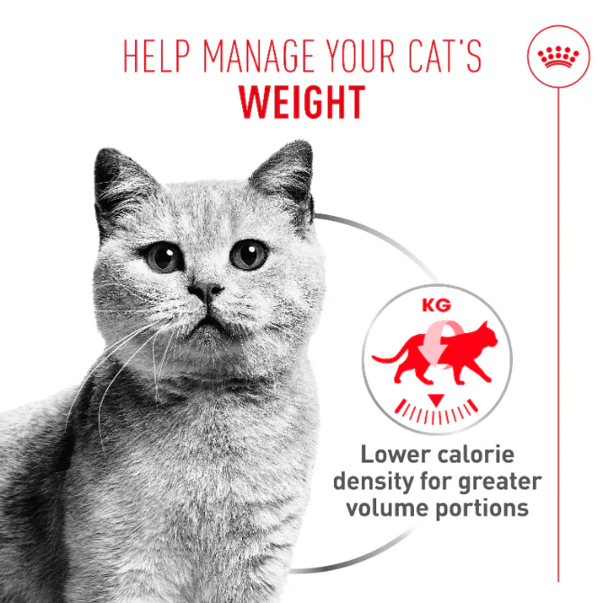 Royal Canin Light Weight Care Airlift Mousse Adult Wet Cat Food - Image 3