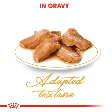 Royal Canin Maine Coon Adult Cat Wet Food in Gravy - Image 4