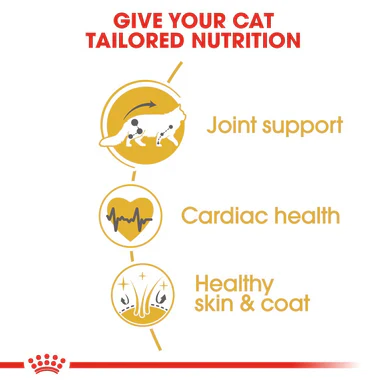 Royal Canin Maine Coon Adult Dry Cat Food - Image 7