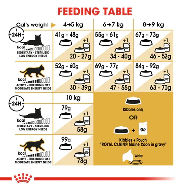 Royal Canin Maine Coon Adult Dry Cat Food - Image 9