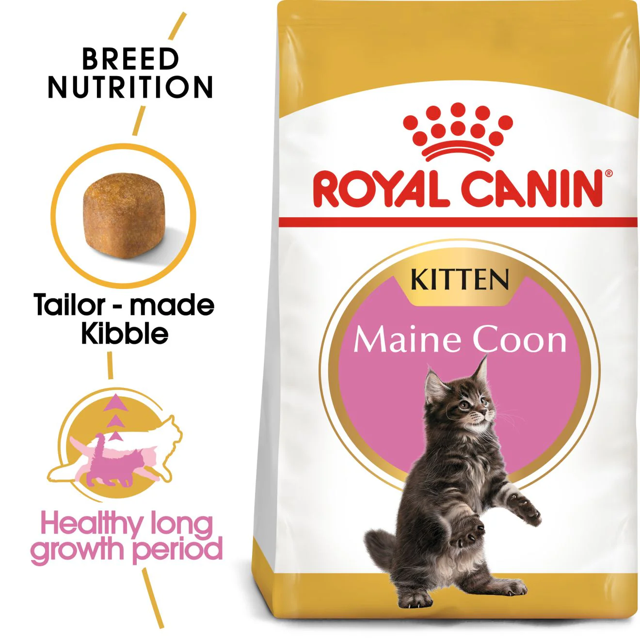 Royal Canin Maine Coon Kitten Dry Cat Food - 400g - Image 2