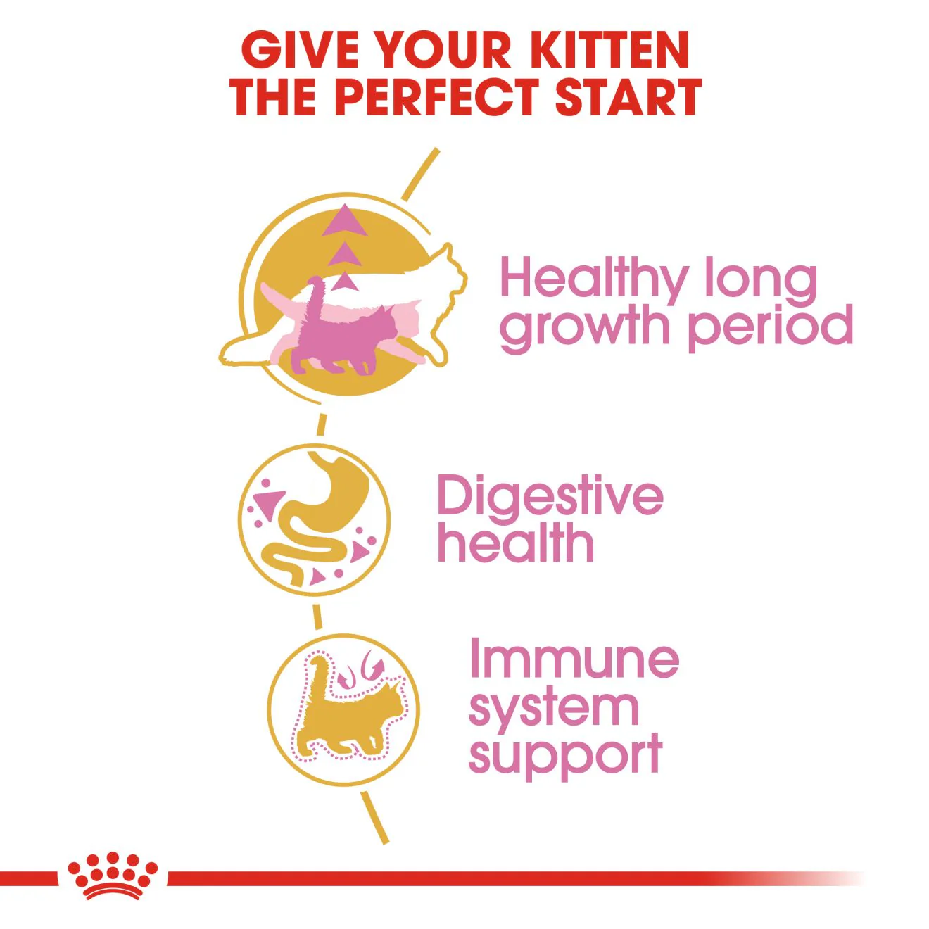 Royal Canin Maine Coon Kitten Dry Cat Food - 400g - Image 3