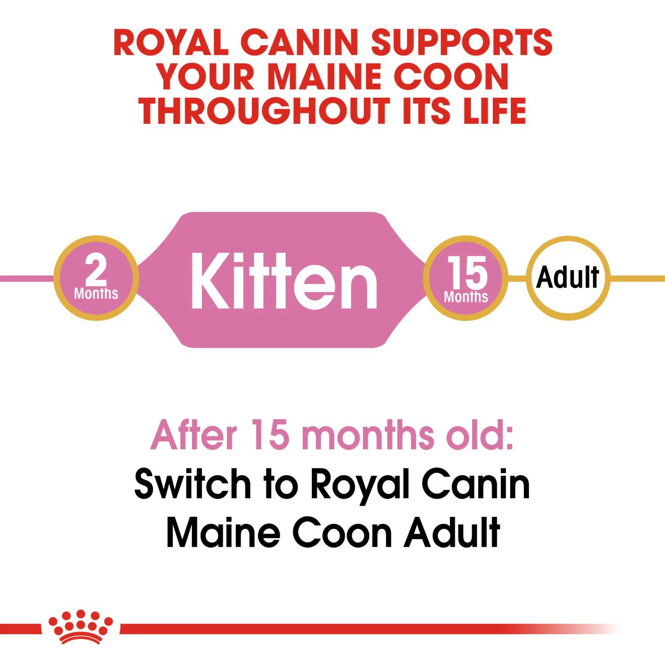 Royal Canin Maine Coon Kitten Dry Cat Food - 400g - Image 4