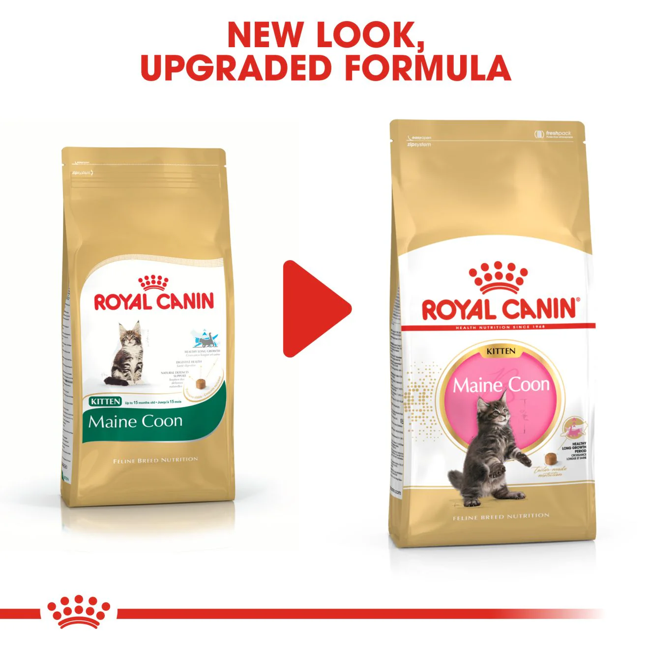 Royal Canin Maine Coon Kitten Dry Cat Food - 400g - Image 8