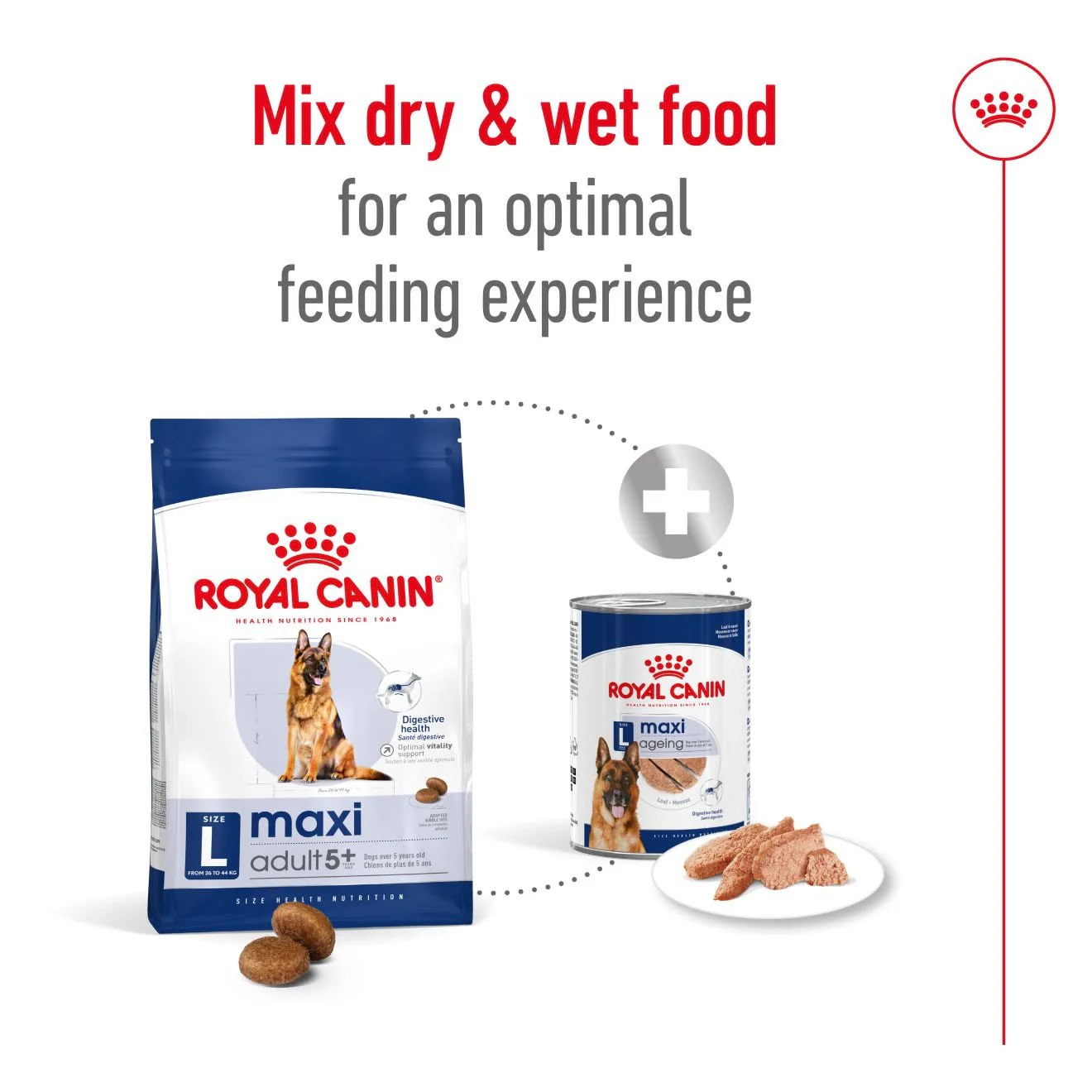 Royal Canin Maxi Adult 5+ Dry Dog Food - Image 4