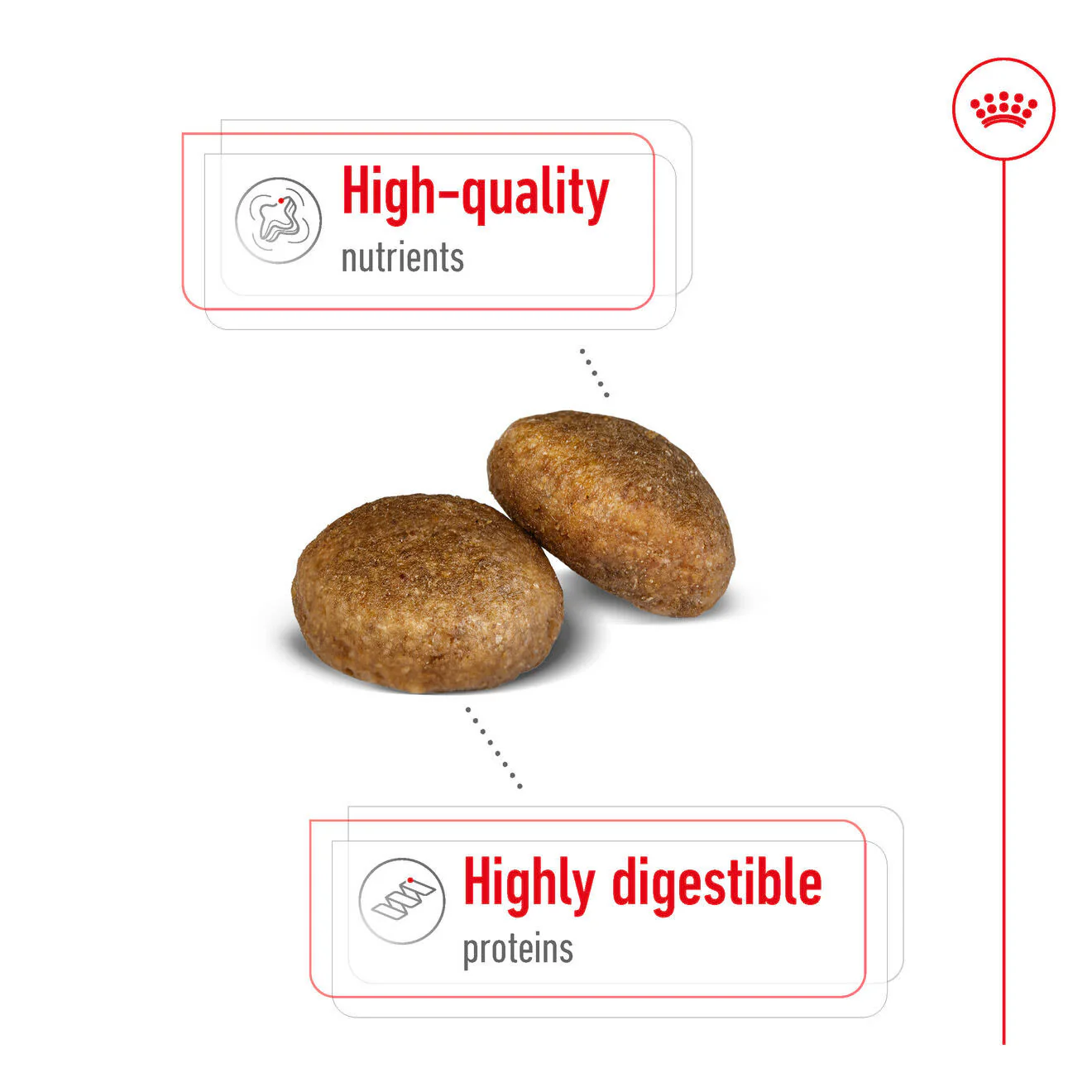 Royal Canin Maxi Adult Dry Dog Food - Image 5