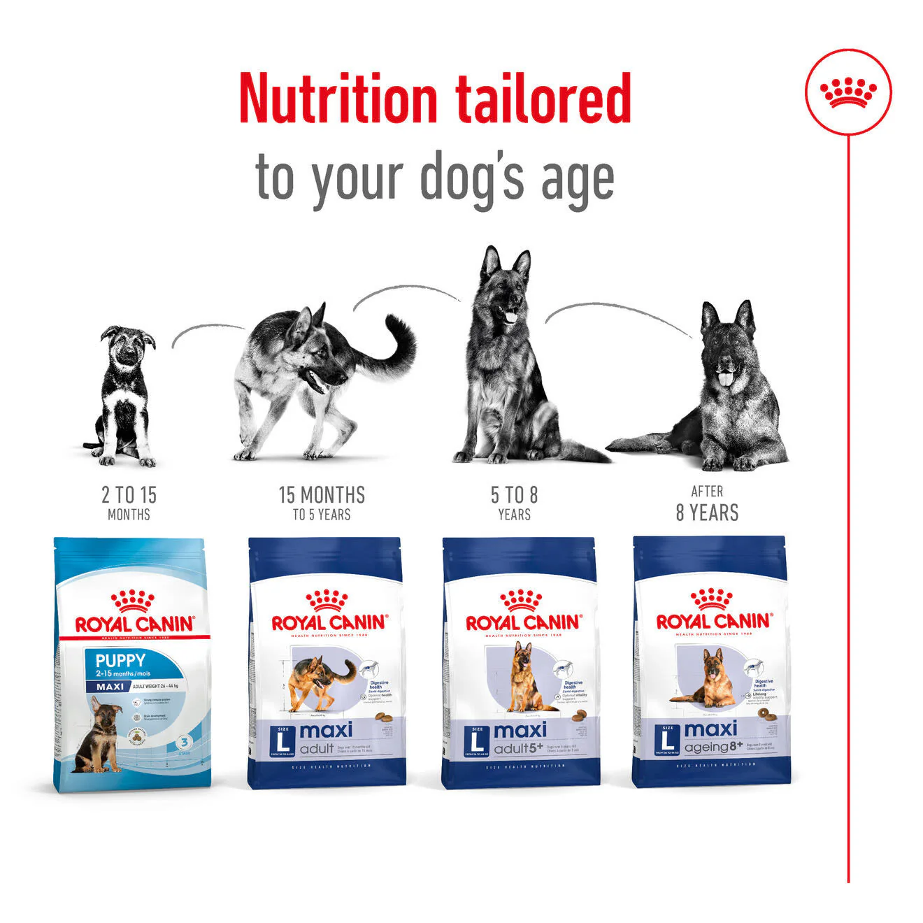 Royal Canin Maxi Adult Dry Dog Food - Image 9