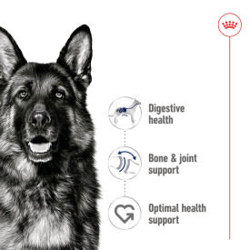Royal Canin Maxi Adult Wet Dog Food in Loaf - Image 3
