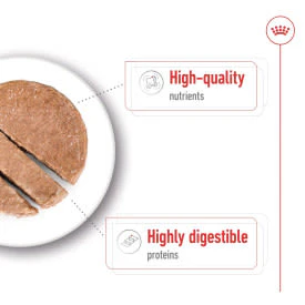 Royal Canin Maxi Adult Wet Dog Food in Loaf - Image 4