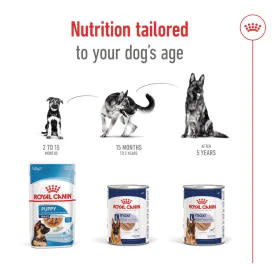 Royal Canin Maxi Adult Wet Dog Food in Loaf - Image 5